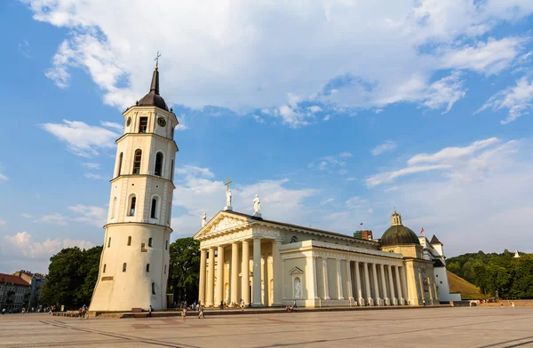 Veduta della Cattedrale di Vilnius in Lituania — Foto Stock