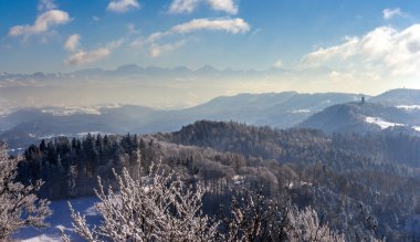 Zurih - İsviçre Alpleri görünümünü
