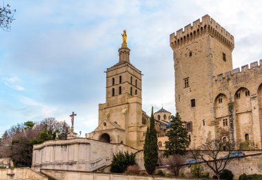 Cathedral Notre-Dame des Doms of Avignon, France clipart