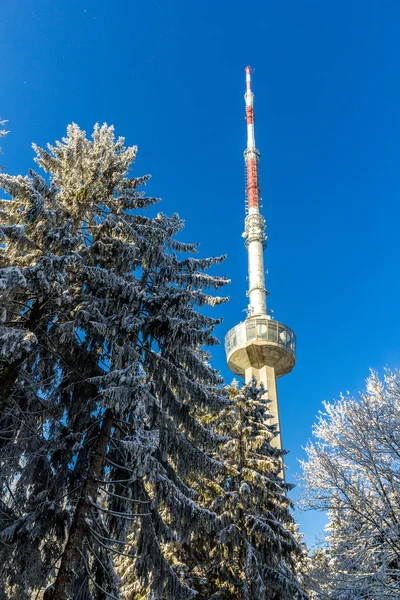 Torre de televisión de Zurich en la montaña de Uetliberg - Suiza — Foto de Stock