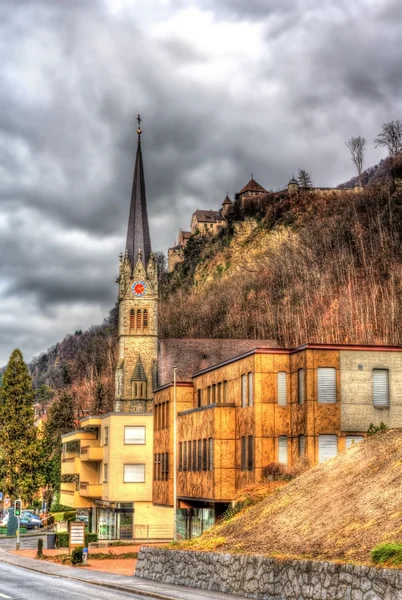 Vista de la Catedral de San Florín en Vaduz - Liechtenstein — Foto de Stock
