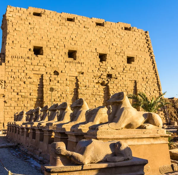 Sphinxes at the entrance of the Karnak Temple - Luxor, Egypt — Stock Photo, Image