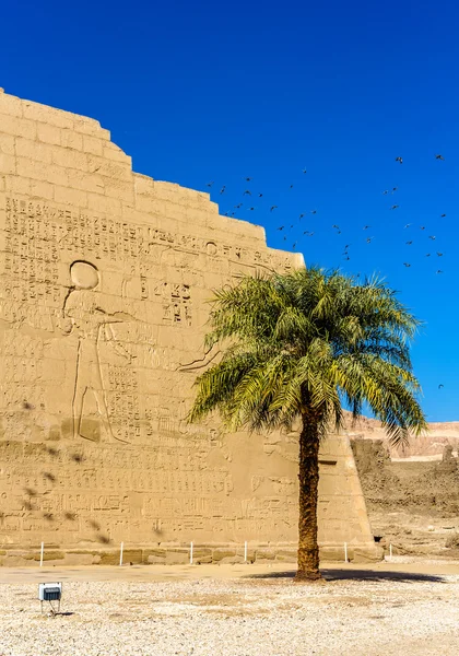 Op de oprijlaan van de Medinet Habu tempel - Egypte — Stockfoto