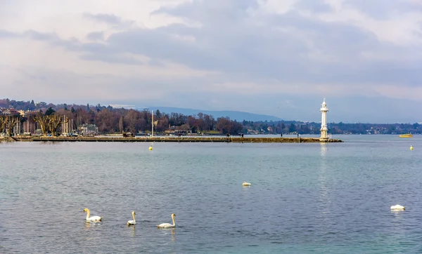 Vista del faro de Ginebra - Suiza — Foto de Stock