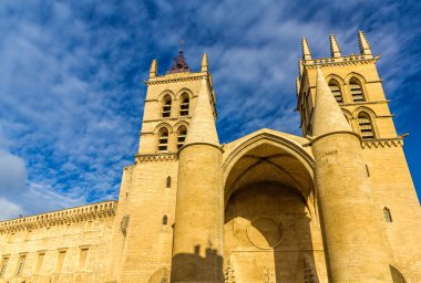 Montpellier Cathedral of Saint Pierre - France, Languedoc-Roussi clipart