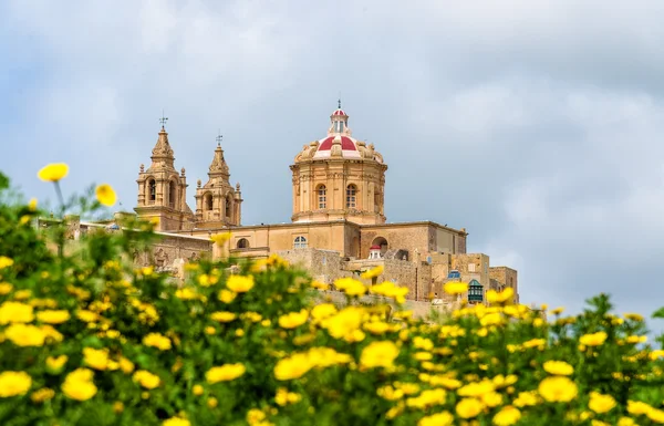 Pohled na katedrálu St. Paul v Mdině - Malta — Stock fotografie