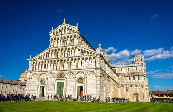 Katedralen och tornet i Pisa - Italien — Stockfoto