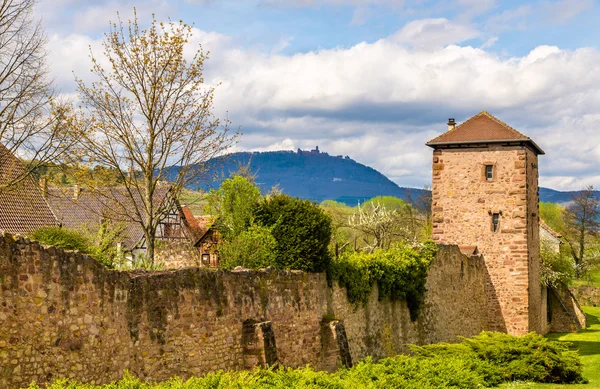 Středověké opevnění Bergheim - Haut-Rhin, Francie — Stock fotografie