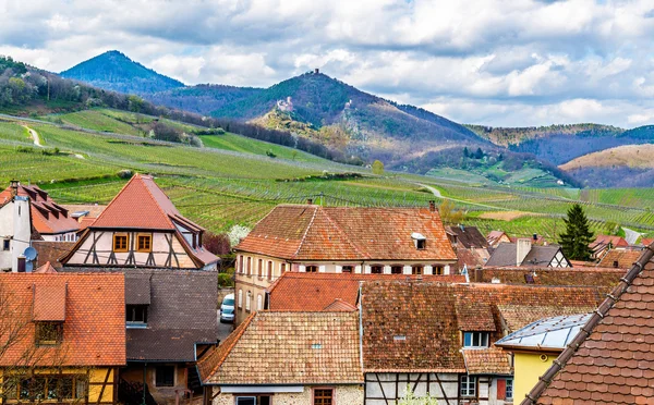 Veduta delle montagne dei Vosgi dall'Hunawihr - Alsazia, Francia — Foto Stock