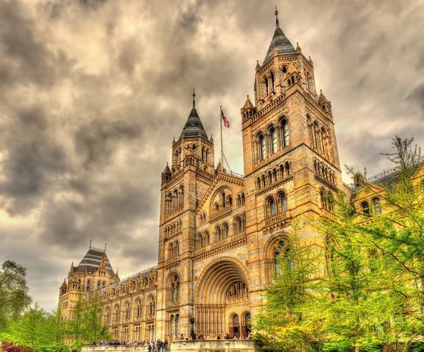 Museo de Historia Natural de Londres - Reino Unido — Foto de Stock