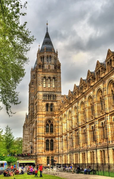 The Natural History Museum in London - United Kingdom — Stock Photo, Image