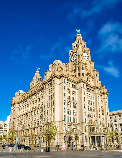 O Edifício Real do Fígado em Liverpool - Inglaterra — Fotografia de Stock