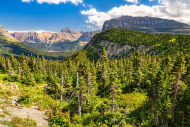 Montana 'daki Buzul Ulusal Parkı' nda geniş bir dağ manzarası. Yoğun çam ormanı, Heavy Runner Dağı 'nın altındaki vadiyi mavi gökyüzünün altında bulutlarla doldurur. Güneşe Giden Yol 'dan Görünüm