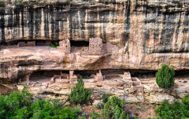 Colorado 'daki Mesa Verde Ulusal Parkı' ndaki Yeni İtfaiye Merkezi manzarası. Ataların Puebloan kalıntıları Fewkes Canyon 'da derin bir kumtaşı oyuğuna inşa edilmiştir.