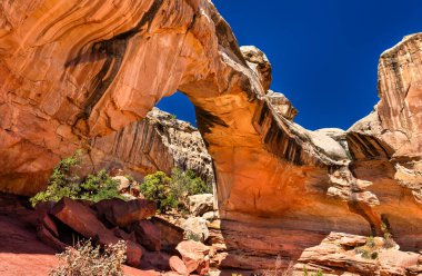 Capitol Resif Ulusal Parkı 'ndaki Hickman Doğal Köprüsü' nün alçak açılı görüntüsü. Devasa turuncu kumtaşı kemeri berrak, derin mavi bir gökyüzünü çerçeveler.