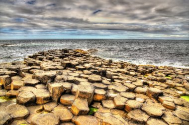 Bazalt döşeli deniz kıyısı, dev 's Causeway - Kuzey İrlanda