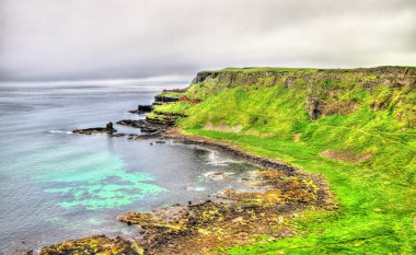İrlanda Adası Ballintoy yakınındaki engebeli kıyı şeridi