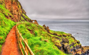 Yol boyunca dev 's Causeway Kuzey İrlanda