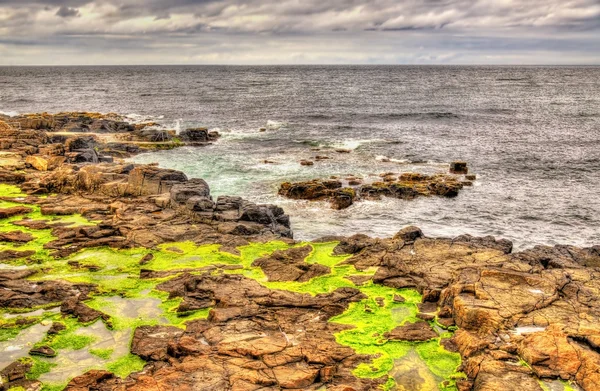 Vista de la costa en Portstewart - Irlanda del Norte —  Fotos de Stock