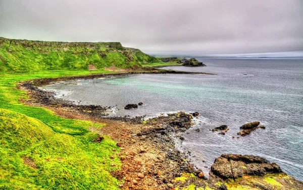 Ír tengerpart közelében az óriás Causeway, Egyesült Királyság — Stock Fotó