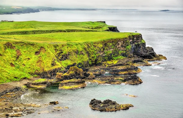 İrlanda Adası Ballintoy yakınındaki engebeli kıyı şeridi — Stok fotoğraf