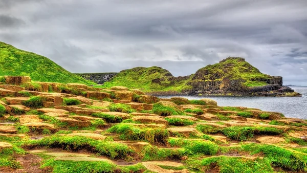 Dev 's Causeway, Kuzey yılında UNESCO miras görünümünü — Stok fotoğraf