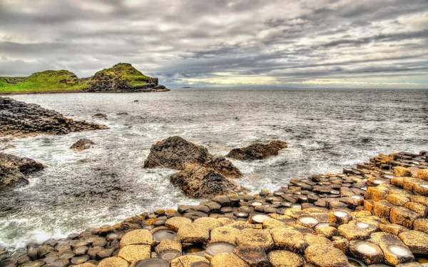 View of the Giant's Causeway, a UNESCO heritage site in Northern — Stock Photo, Image