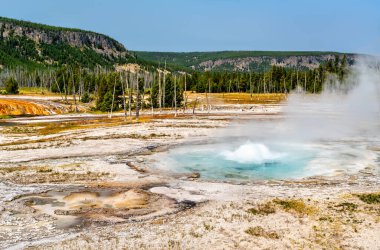 Yellowstone Ulusal Parkları Kara Kum Havzası 'nda fışkıran gayzer kabarcıkları ve sıçramaları. Mavi havuzdan yükselen buhar mineral yatakları ve ormanla çevrili.