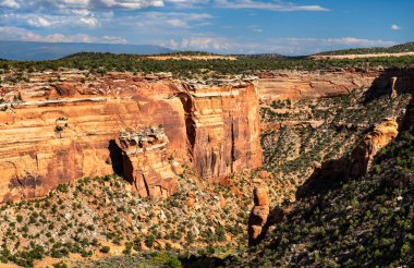 Ute Canyon, ABD 'nin Grand Junction kenti yakınlarındaki Colorado Ulusal Anıtı' na kadar uzanır. Wingate ve Kayenta oluşumlarının dikey kumtaşı duvarları yeşil bitki örtüsüyle kaplı kanyon zemininden yükselir.