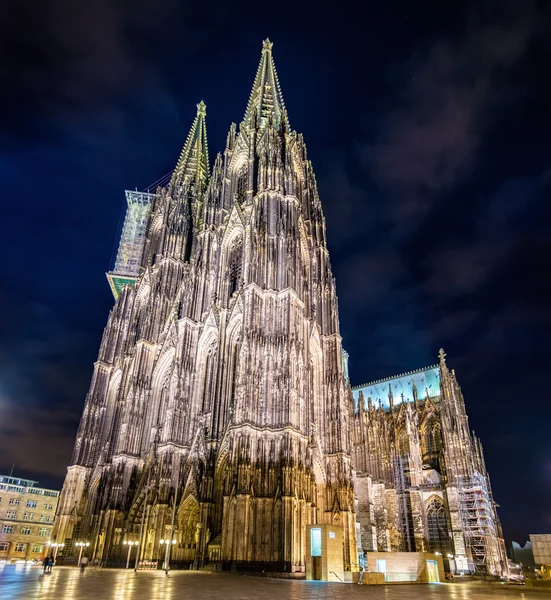 Vista notturna della Cattedrale di Colonia - Germania, Renania Settentrionale-Vestfali — Foto Stock