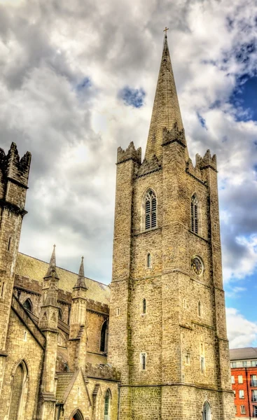 ダブリン - アイルランドの聖人 Patrick 大聖堂 — ストック写真