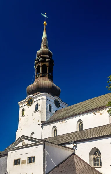 St. Maria-katedralen i Tallinn - Estland — Stockfoto