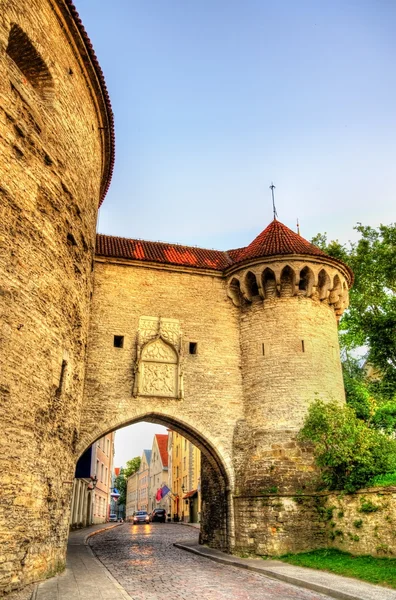 Das große küstentor in tallinn - estland — Stockfoto