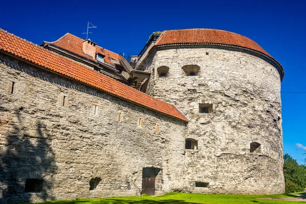Tlustá Markéta, pevnost tower v Tallinn, Estonsko — Stock fotografie