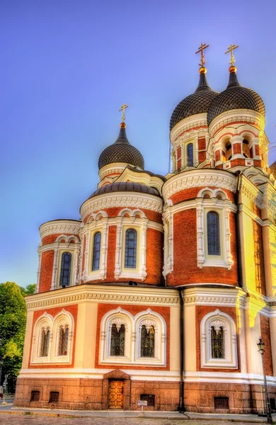 Catedral de San Alejandro Nevski en Tallin - Estonia —  Fotos de Stock