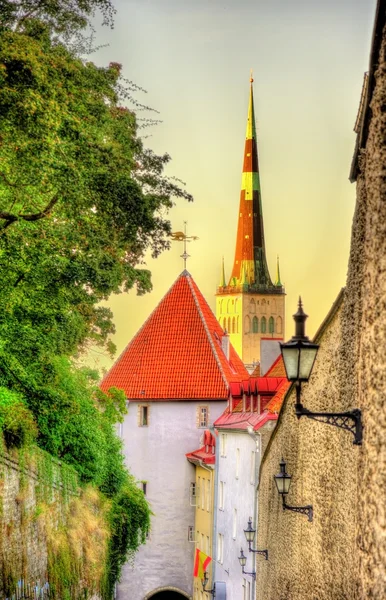 Pikk jalg street a Tallinn - Estonia — Foto Stock