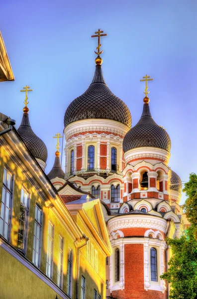 Saint Alexander Nevski-kathedraal in Tallinn - Estland — Stockfoto