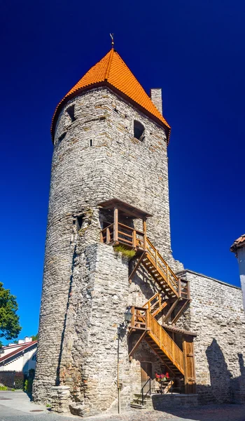 Tallinn - Estonya plaka Kulesi — Stok fotoğraf