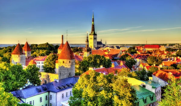 Исторический центр Таллинна, объект культурного наследия ЮНЕСКО в Эстони — стоковое фото
