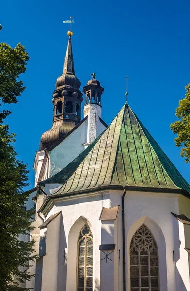 St. Mary Cathedral in Tallinn - Estonia Royalty Free Stock Photos
