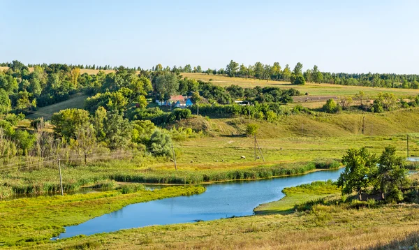 Prado em Bolshoe Gorodkovo - região de Kursk, Rússia — Fotografia de Stock