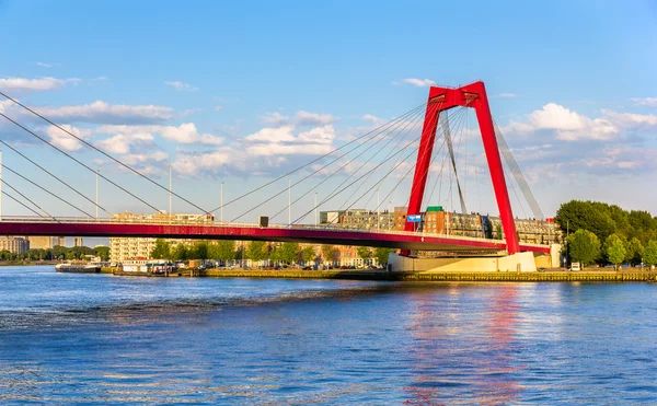 A Willemsbrug vagy a Williams Bridge in Rotterdam - Hollandia — Stock Fotó