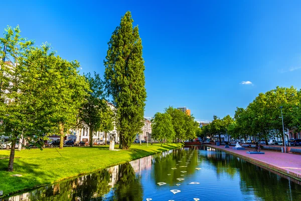 Damm i en park - Rotterdam, Nederländerna — Stockfoto