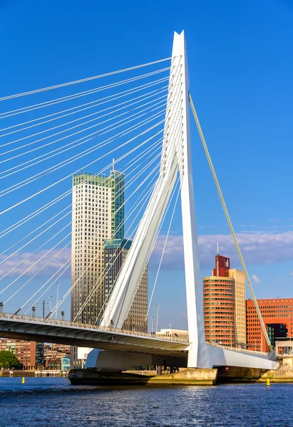 Visa av erasmus-bron i rotterdam, Nederländerna — Stockfoto