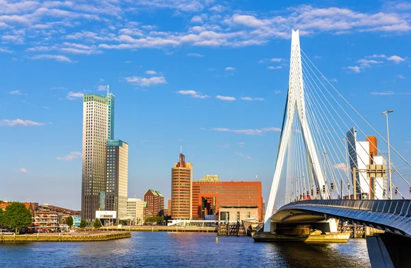 Visa av erasmus-bron i rotterdam, Nederländerna — Stockfoto