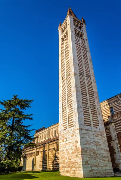 View of bell tower of Basilica of San Zeno in Verona — Stock Photo, Image