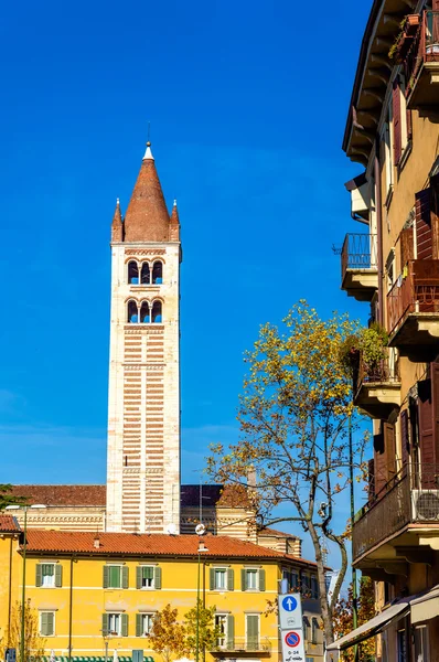 Nézd a bell tower Basilica of San Zeno-Verona — Stock Fotó