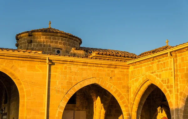 Detaljer för Panagia Chrysaliniotissa kyrka - Nicosia, Cypern — Stockfoto