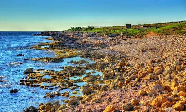 Seashore in Paphos - Cyprus — Stock Photo, Image