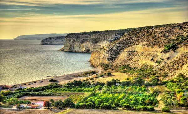 Paysage de Chypre près de Kourion. Scène d'automne — Photo